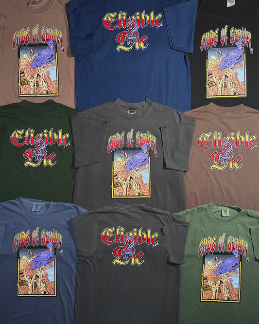 ENDS OF SANITY (SHIRTS)